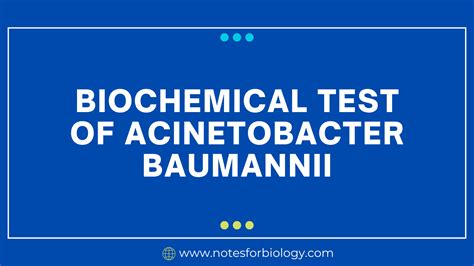 acinetobacter biochemical test|Acinetobacter Infection .
